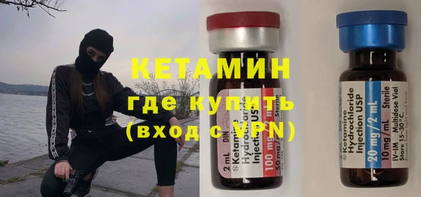 хмурый Аркадак