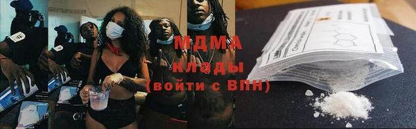 хмурый Аркадак