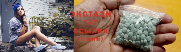 хмурый Аркадак