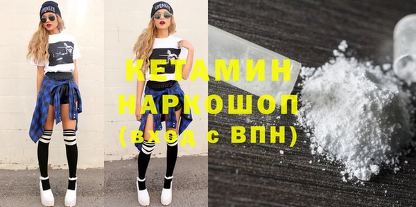 хмурый Аркадак