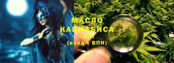 хмурый Аркадак