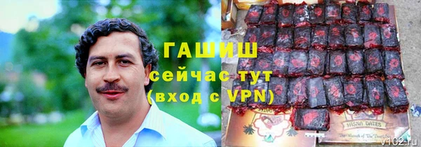 хмурый Аркадак