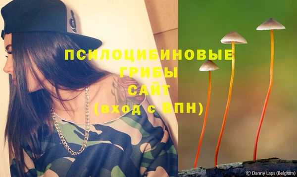 2c-b Армянск