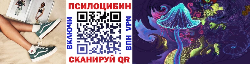 Купить  Магас  Псилоцибиновые грибы мицелий 