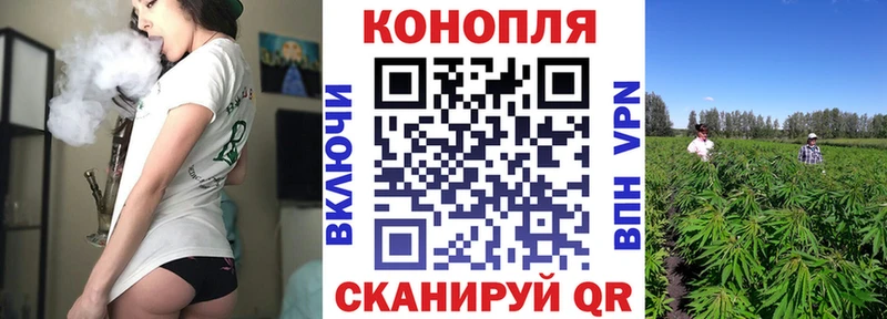 Каннабис OG Kush  Купить  Магас 